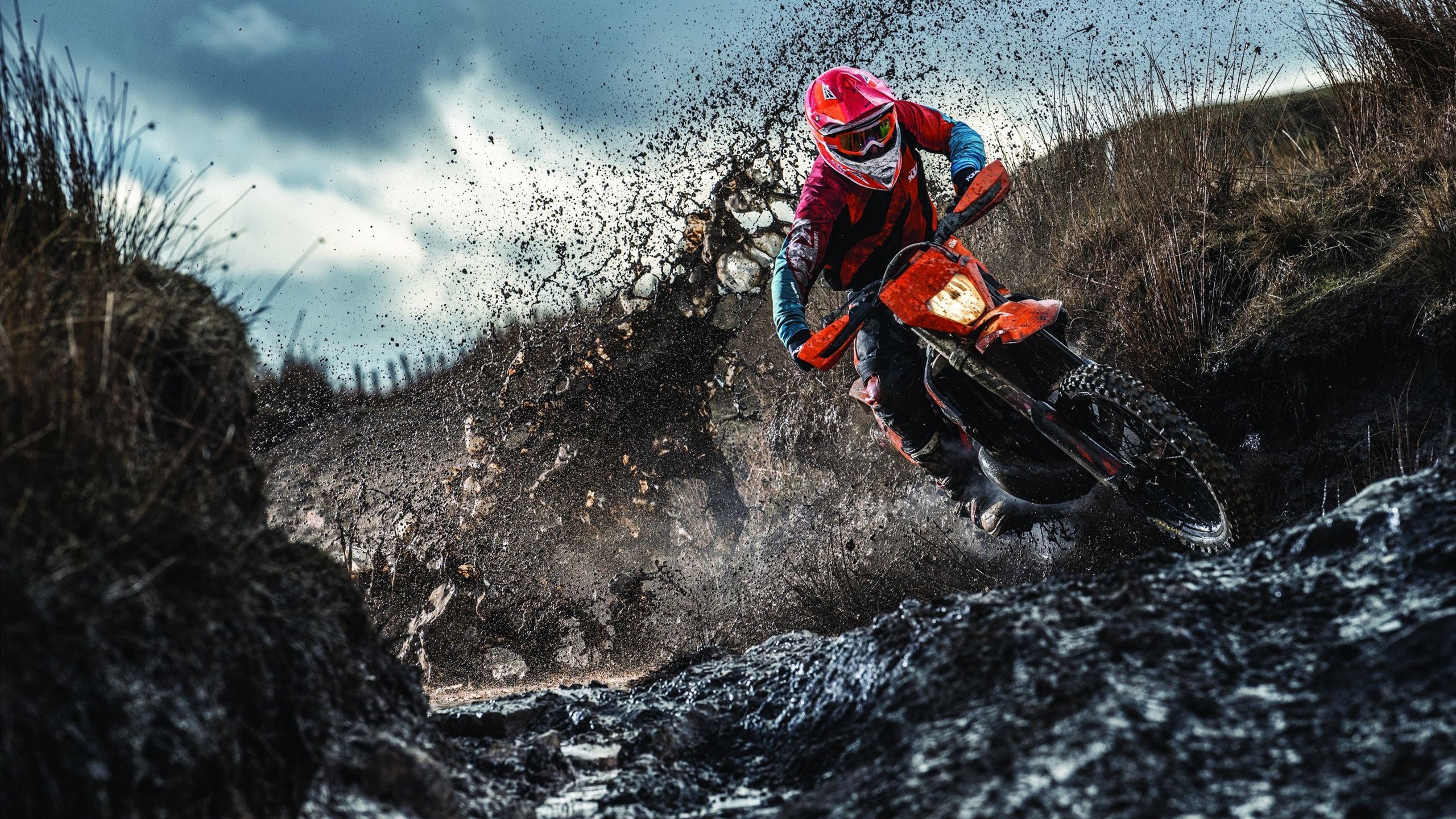 星河争霸系列赛事，引领电竞未来！