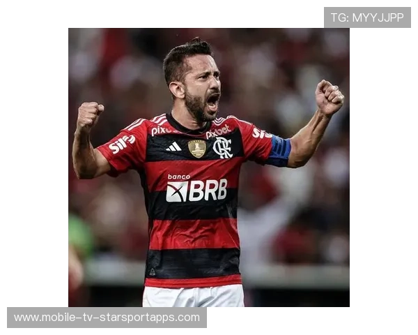 埃韦顿·里贝罗传射建功，掌控节奏，埃弗顿里贝罗号码