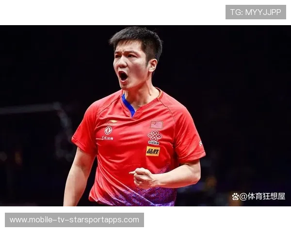 樊振东完美首秀,德国杯掀起中国风暴,樊振东德国公开赛2013 樊振东完美首秀,德国杯掀起中国风暴,樊振东德国公开赛2013